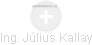 Július Kallay - Vizualizace  propojení osoby a firem v obchodním rejstříku