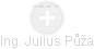  Julius P. - Vizualizace  propojení osoby a firem v obchodním rejstříku