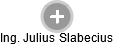 Julius Slabecius - Vizualizace  propojení osoby a firem v obchodním rejstříku