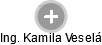  Kamila V. - Vizualizace  propojení osoby a firem v obchodním rejstříku