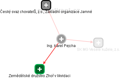 Karel Pejcha - Vizualizace  propojení osoby a firem v obchodním rejstříku
