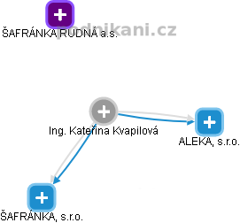 Kateřina Kvapilová - Vizualizace  propojení osoby a firem v obchodním rejstříku