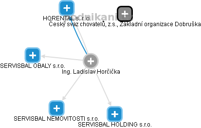 Ladislav Horčička - Vizualizace  propojení osoby a firem v obchodním rejstříku