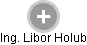 Libor Holub - Vizualizace  propojení osoby a firem v obchodním rejstříku