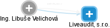 Libuše Velichová - Vizualizace  propojení osoby a firem v obchodním rejstříku