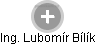 Lubomír Bílík - Vizualizace  propojení osoby a firem v obchodním rejstříku