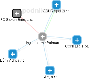 Lubomír Pujman - Vizualizace  propojení osoby a firem v obchodním rejstříku