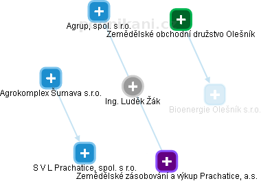  Luděk Ž. - Vizualizace  propojení osoby a firem v obchodním rejstříku