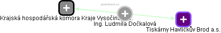  Ludmila D. - Vizualizace  propojení osoby a firem v obchodním rejstříku