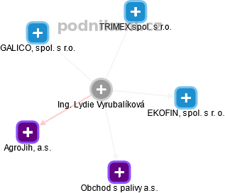 Lydie Vyrubalíková - Vizualizace  propojení osoby a firem v obchodním rejstříku