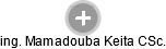  Mamadouba K. - Vizualizace  propojení osoby a firem v obchodním rejstříku