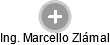  Marcello Z. - Vizualizace  propojení osoby a firem v obchodním rejstříku