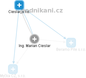 Marian Cieslar - Vizualizace  propojení osoby a firem v obchodním rejstříku