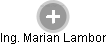 Marian Lambor - Vizualizace  propojení osoby a firem v obchodním rejstříku