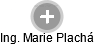  Marie P. - Vizualizace  propojení osoby a firem v obchodním rejstříku
