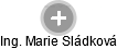  Marie S. - Vizualizace  propojení osoby a firem v obchodním rejstříku