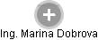Marina Dobrova - Vizualizace  propojení osoby a firem v obchodním rejstříku