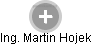 Martin Hojek - Vizualizace  propojení osoby a firem v obchodním rejstříku