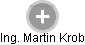 Martin Krob - Vizualizace  propojení osoby a firem v obchodním rejstříku