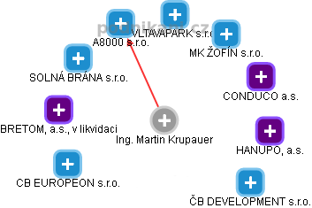 Martin Krupauer - Vizualizace  propojení osoby a firem v obchodním rejstříku