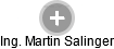 Martin Salinger - Vizualizace  propojení osoby a firem v obchodním rejstříku