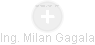 Milan Gagala - Vizualizace  propojení osoby a firem v obchodním rejstříku