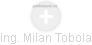Milan Tobola - Vizualizace  propojení osoby a firem v obchodním rejstříku