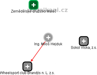Miloš Hejduk - Vizualizace  propojení osoby a firem v obchodním rejstříku
