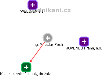 Miroslav Pech - Vizualizace  propojení osoby a firem v obchodním rejstříku
