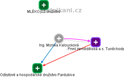 Monika Kalousková - Vizualizace  propojení osoby a firem v obchodním rejstříku