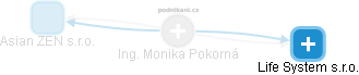  Monika P. - Vizualizace  propojení osoby a firem v obchodním rejstříku