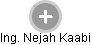  Nejah K. - Vizualizace  propojení osoby a firem v obchodním rejstříku