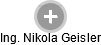  Nikola G. - Vizualizace  propojení osoby a firem v obchodním rejstříku