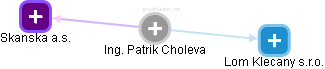  Patrik Ch. - Vizualizace  propojení osoby a firem v obchodním rejstříku