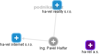 Pavel Halfar - Vizualizace  propojení osoby a firem v obchodním rejstříku
