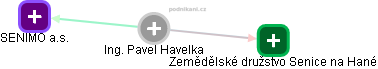 Pavel Havelka - Vizualizace  propojení osoby a firem v obchodním rejstříku