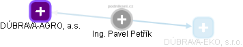 PAVEL PETŔÍK - Vizualizace  propojení osoby a firem v obchodním rejstříku