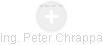 Peter Chrappa - Vizualizace  propojení osoby a firem v obchodním rejstříku