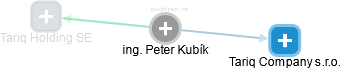 Peter Kubík - Vizualizace  propojení osoby a firem v obchodním rejstříku