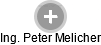 Peter Melicher - Vizualizace  propojení osoby a firem v obchodním rejstříku