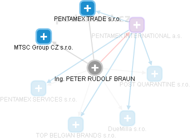 PETER RUDOLF BRAUN - Vizualizace  propojení osoby a firem v obchodním rejstříku