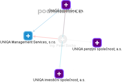 Peter Socha - Vizualizace  propojení osoby a firem v obchodním rejstříku
