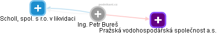 Petr Bureš - Vizualizace  propojení osoby a firem v obchodním rejstříku