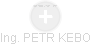 PETR KEBO - Vizualizace  propojení osoby a firem v obchodním rejstříku