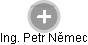  Petr N. - Vizualizace  propojení osoby a firem v obchodním rejstříku