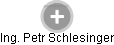 Petr Schlesinger - Vizualizace  propojení osoby a firem v obchodním rejstříku