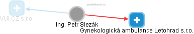 Petr Slezák - Vizualizace  propojení osoby a firem v obchodním rejstříku