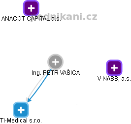 PETR VAŠICA - Vizualizace  propojení osoby a firem v obchodním rejstříku