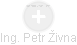 Petr Živna - Vizualizace  propojení osoby a firem v obchodním rejstříku