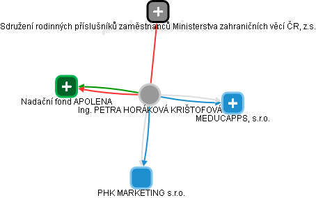  Horáková P. - Vizualizace  propojení osoby a firem v obchodním rejstříku